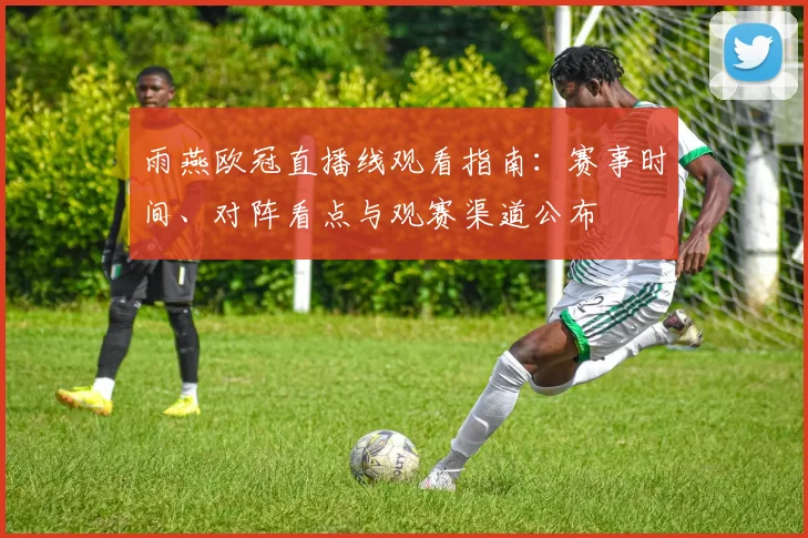雨燕欧冠直播线观看指南：赛事时间、对阵看点与观赛渠道公布