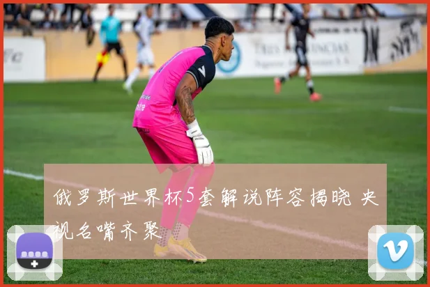 俄罗斯世界杯5套解说阵容揭晓 央视名嘴齐聚